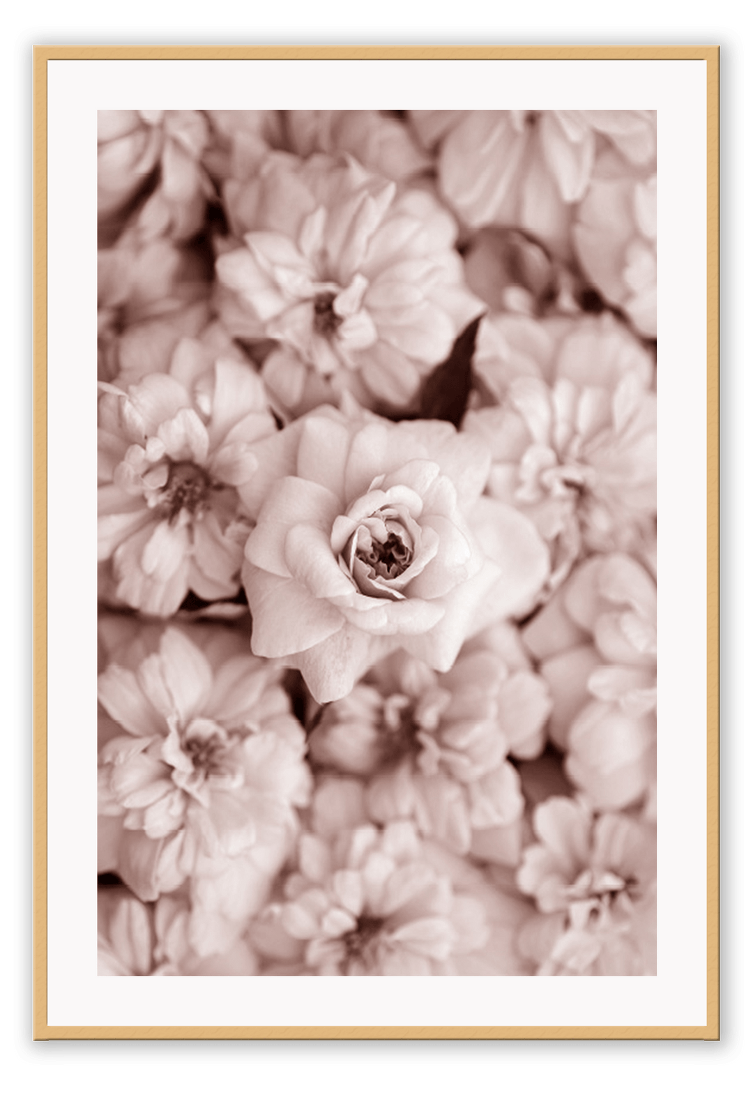 Canvas Prints 50x70cm / Natural Blush Bloom Blush Bloom Wall Art : Ready to hang framed artwork. Brand